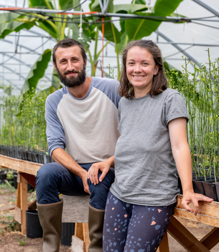 David et Lynn, pépiniéristes de La Forêt des Saveurs, dans leur serre d'agrumes bio en Centre-Bretagne